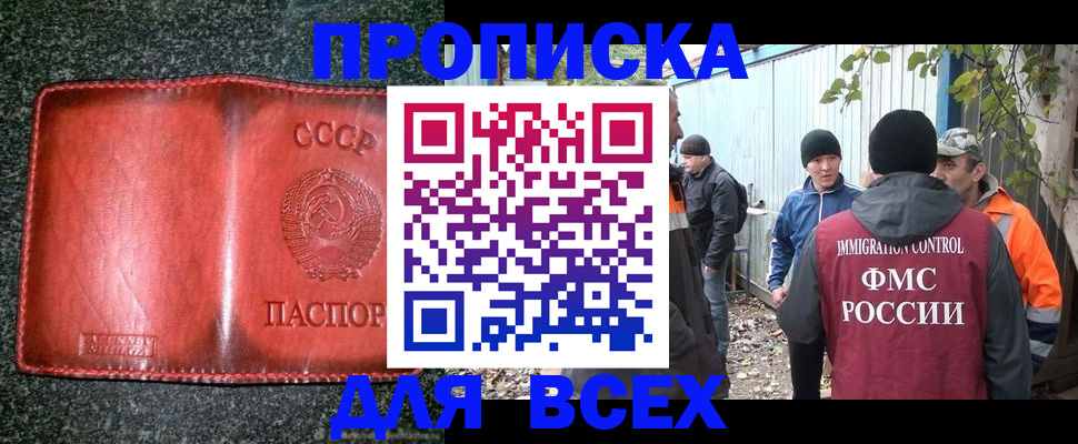временная регистрация поиск в Новочебоксарске
